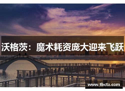 沃格茨：魔术耗资庞大迎来飞跃